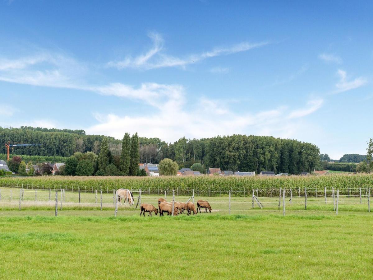 Stunning Holiday Home In Oombergen With Terrace And Garden Zottegem Buitenkant foto